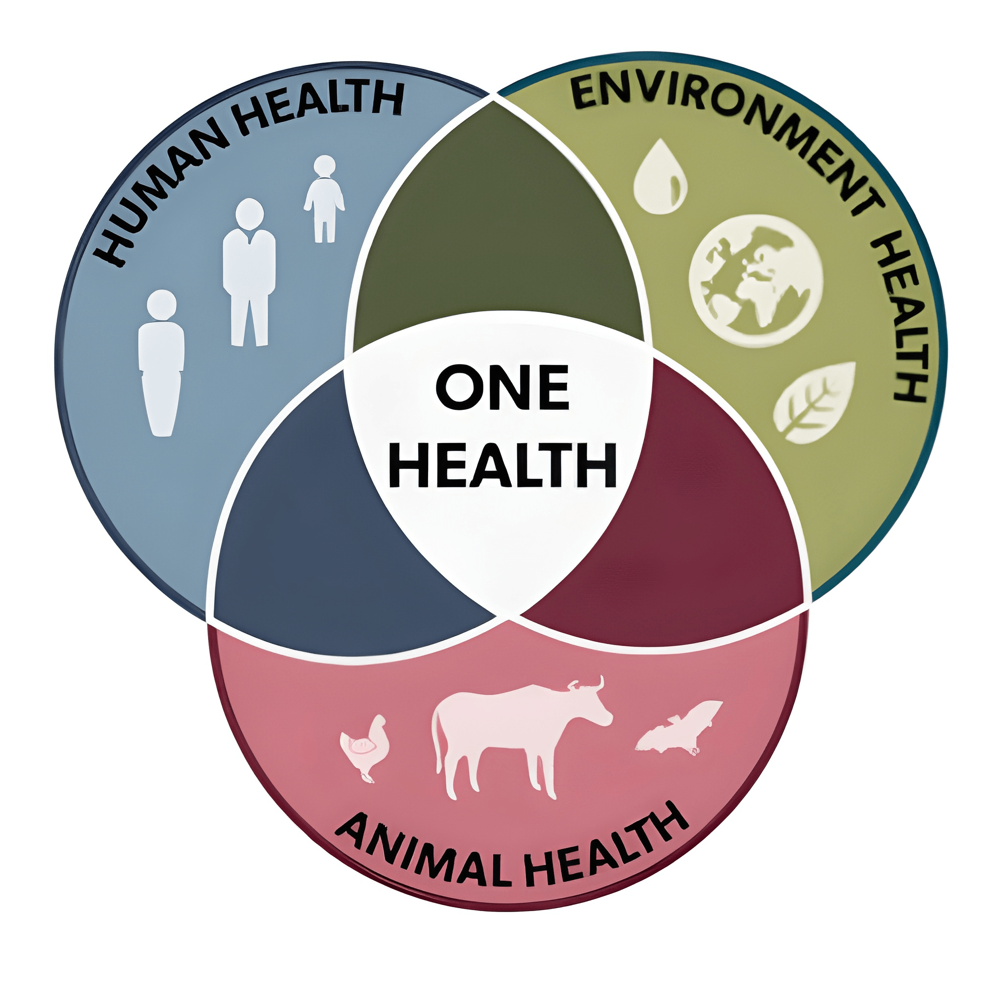 one-health-diagram.png