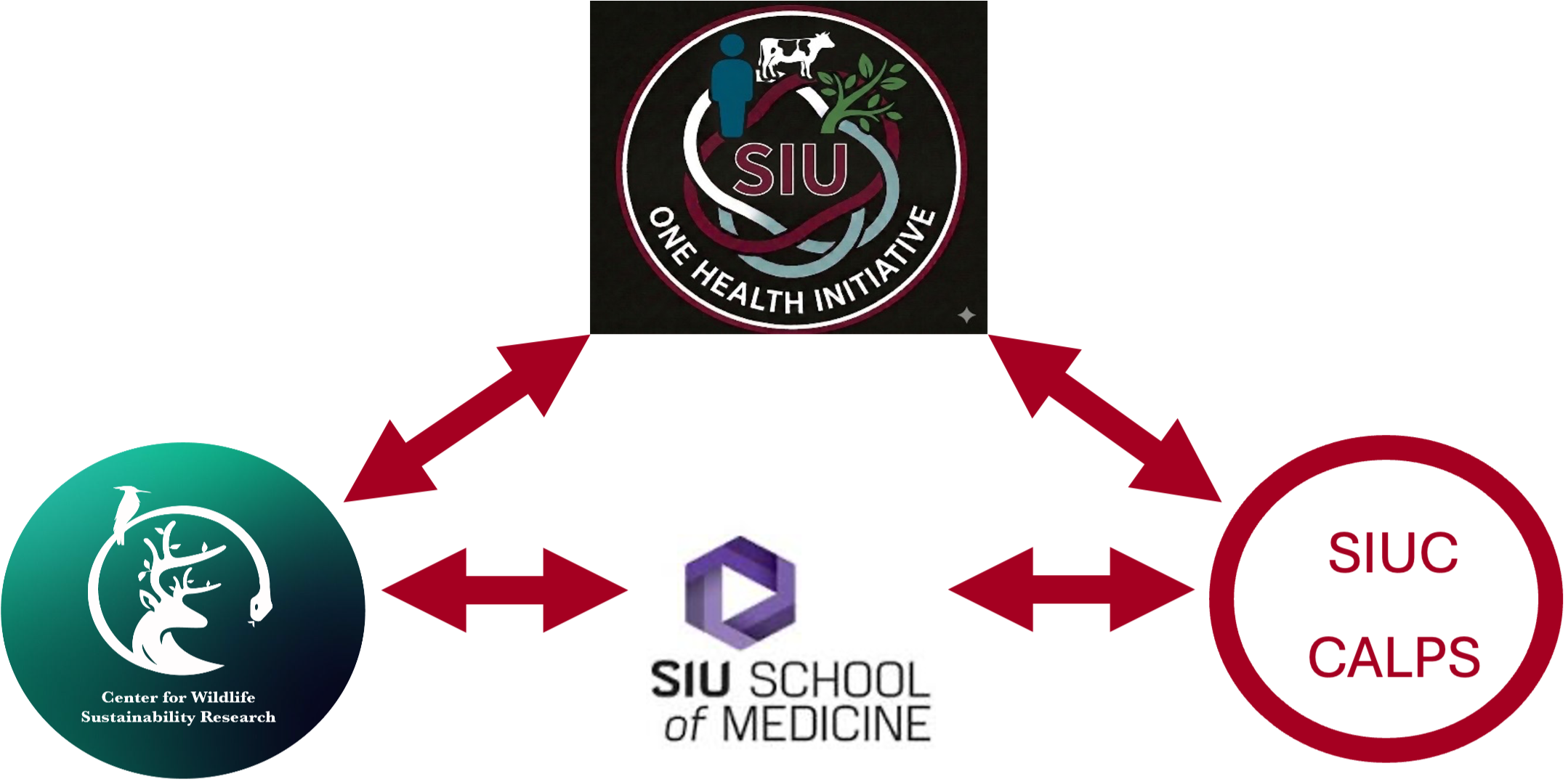 siu-one-health-partnerships.png