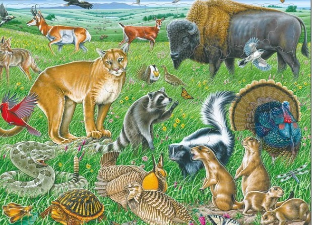 wild life response solar panel